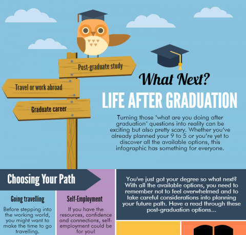 Career Guidance After 12th/Graduation: Making Informed Choices for Your Future